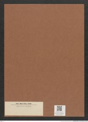 Diatomeae indet. Zeichnungen Sammlung Grunow Mappe 02902 (Herbarium_W_Grunow_drawings_Folder_02902)